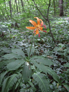 20190715_DSCF1058_.jpg