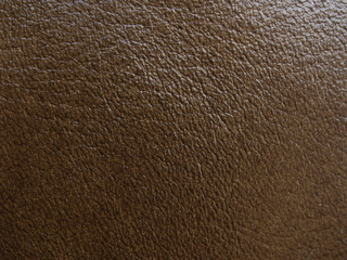 20200523_P5234271_.jpg