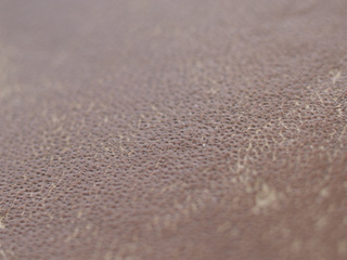 20200523_P5234274_.jpg
