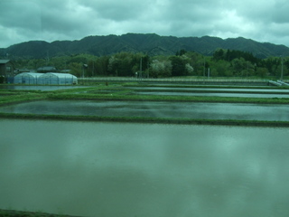 DSCF0438.jpg