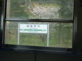 DSCF0461.jpg