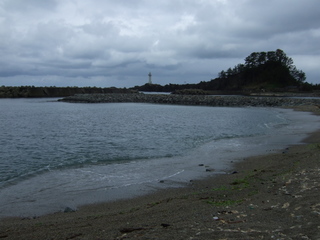 DSCF0488.jpg