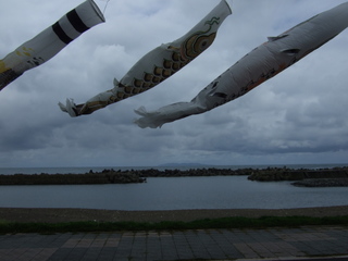 DSCF0490.jpg
