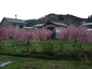 DSCF0516.jpg