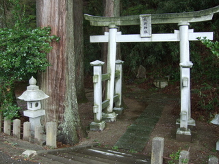 DSCF0518.jpg