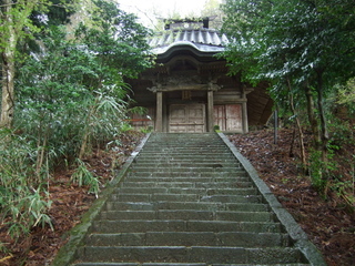 DSCF0519.jpg