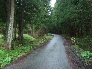 DSCF0524.jpg