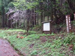 DSCF0525.jpg