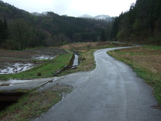 DSCF0533.jpg