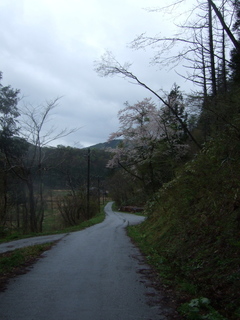 DSCF0535.jpg