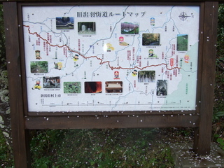 DSCF0537.jpg