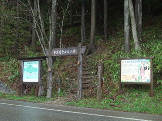 DSCF0551.jpg