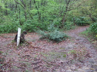 DSCF0552.jpg
