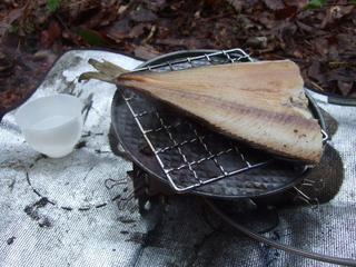 DSCF0558.jpg