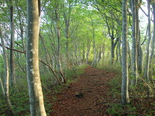 DSCF0573.jpg