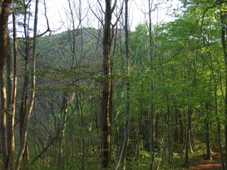 DSCF0576.jpg