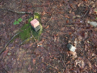 DSCF0593.jpg