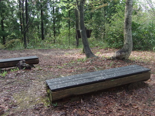 DSCF0604.jpg