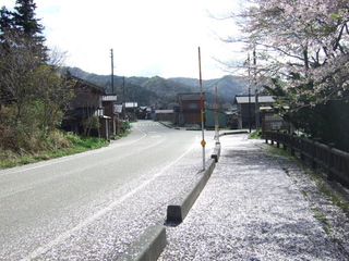 DSCF0607.jpg