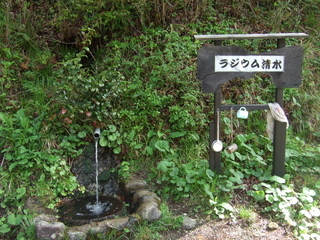 DSCF0621.jpg