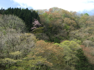 DSCF0623.jpg