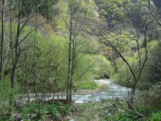 DSCF0625.jpg