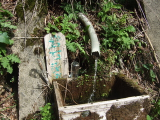 DSCF0631.jpg