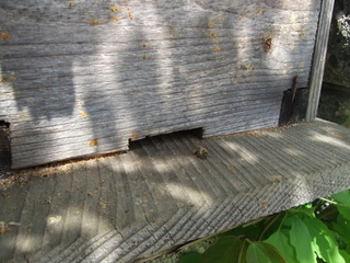 DSCF0640.jpg
