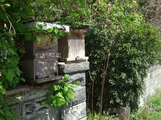 DSCF0642.jpg