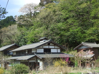 DSCF0644.jpg