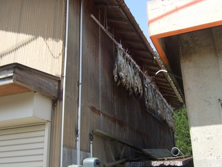DSCF0654.jpg
