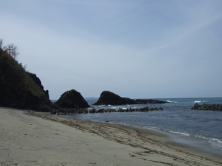 DSCF0714.jpg