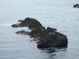 DSCF0753.jpg