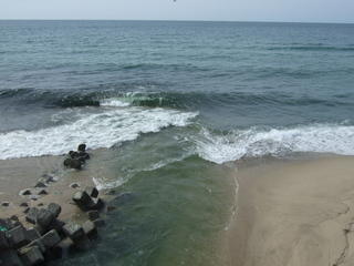 DSCF0784.jpg