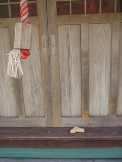 DSCF0788.jpg