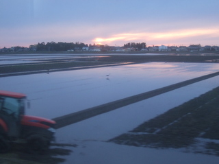 DSCF0841.jpg