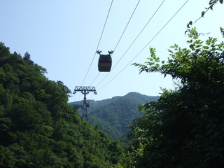 DSCF9536.jpg