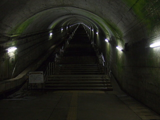 DSCF9561.jpg