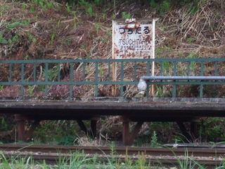 DSCF9588.jpg